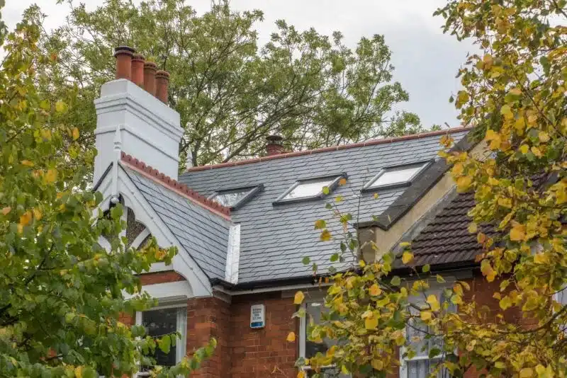 img_0703-scaled-1-webp