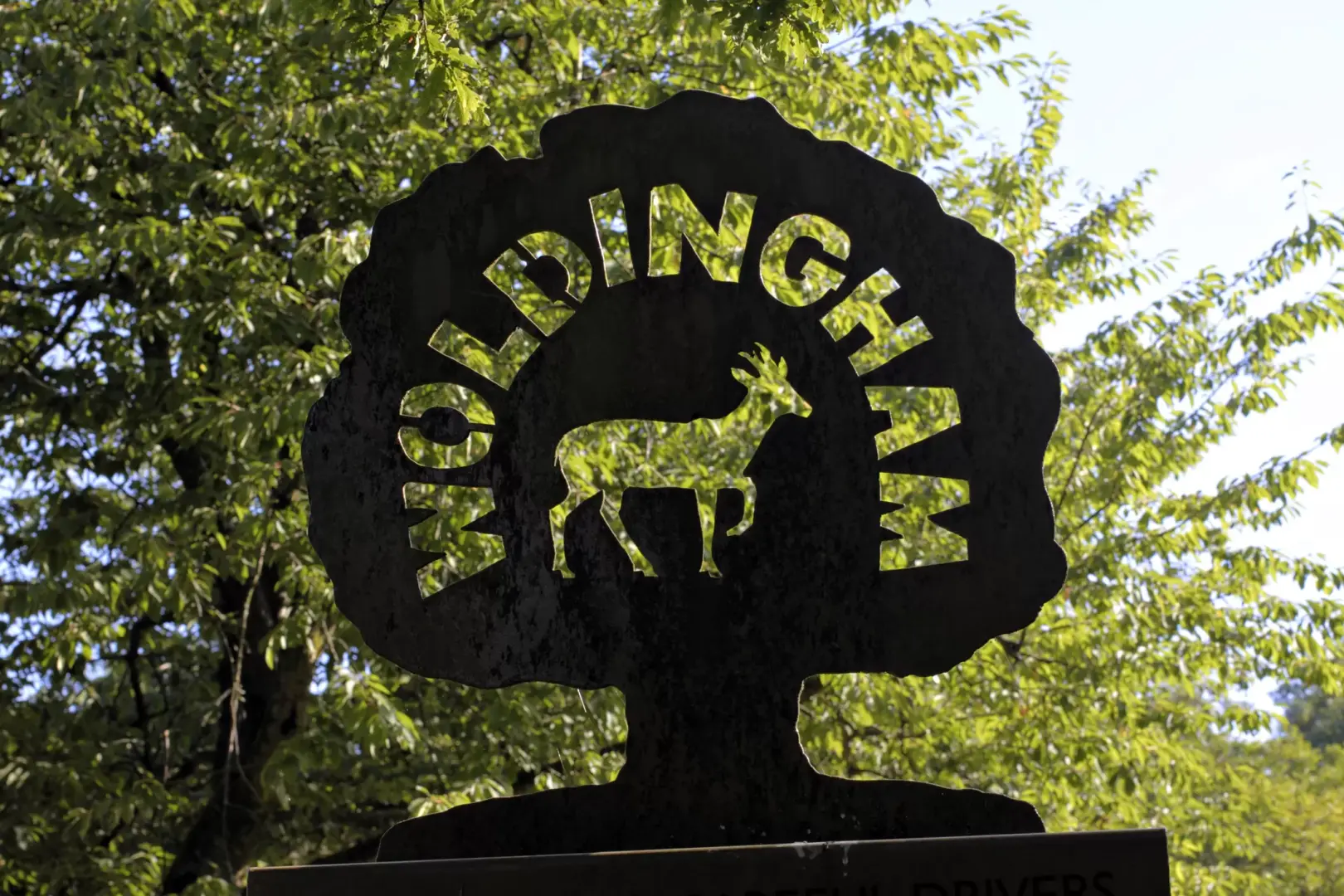 loft-conversions-woldingham-2